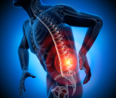 4. Wirbelsäule & Leib